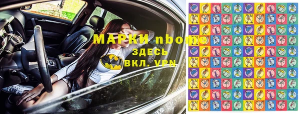 a pvp Новозыбков
