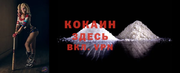 a pvp Новозыбков