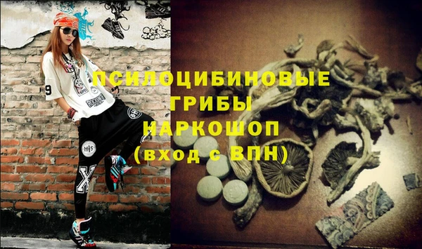 дживик Новокубанск
