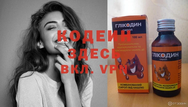 a pvp Новозыбков